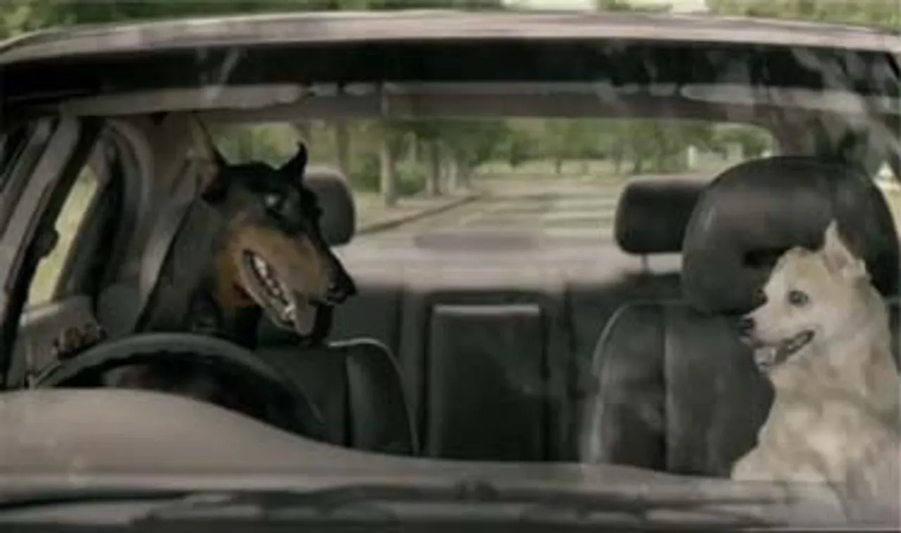 CarTrade.com: Every dog has its car