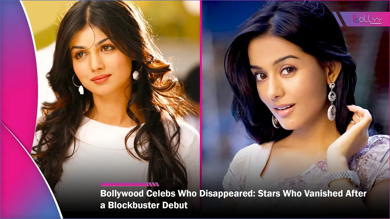 Bollywood Celebs Who Disappeared Stars Who Vanished After a Blockbuster Debut
