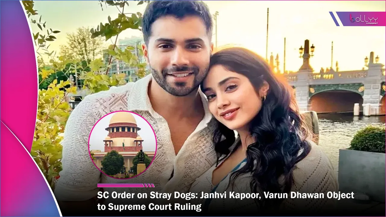 SC Order on Stray Dogs