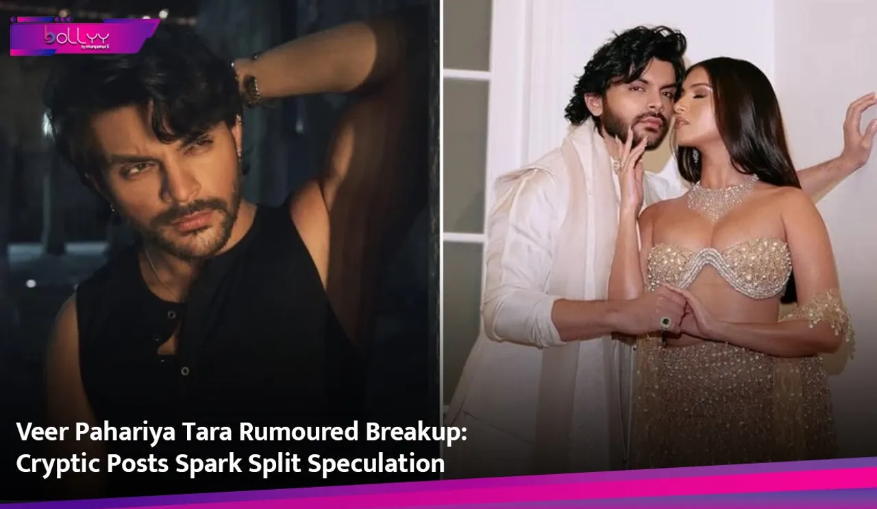 Veer Pahariya Tara Rumoured Breakup