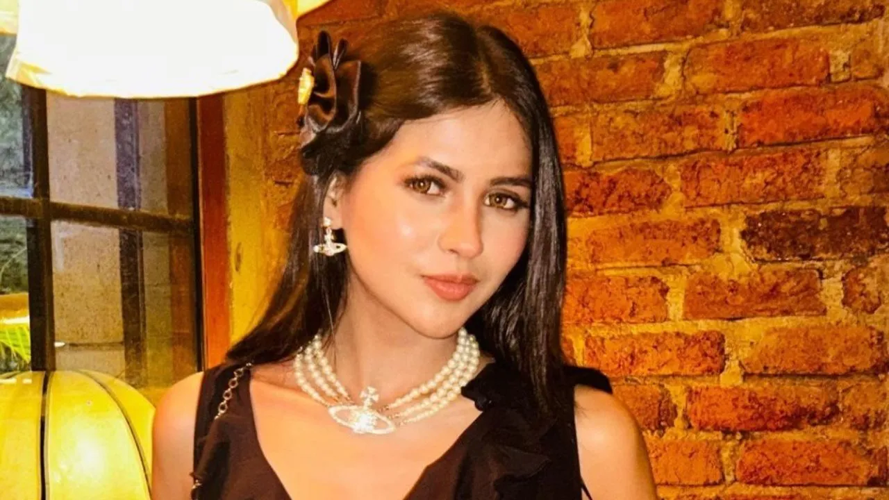 Rakhi is very special to me Anushka Merchande