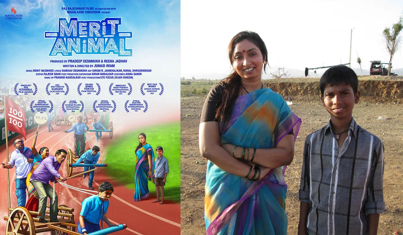 Review: Merit Animal