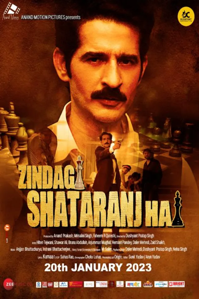 REVIEW: ZINDAGI SHATRANJ HAI