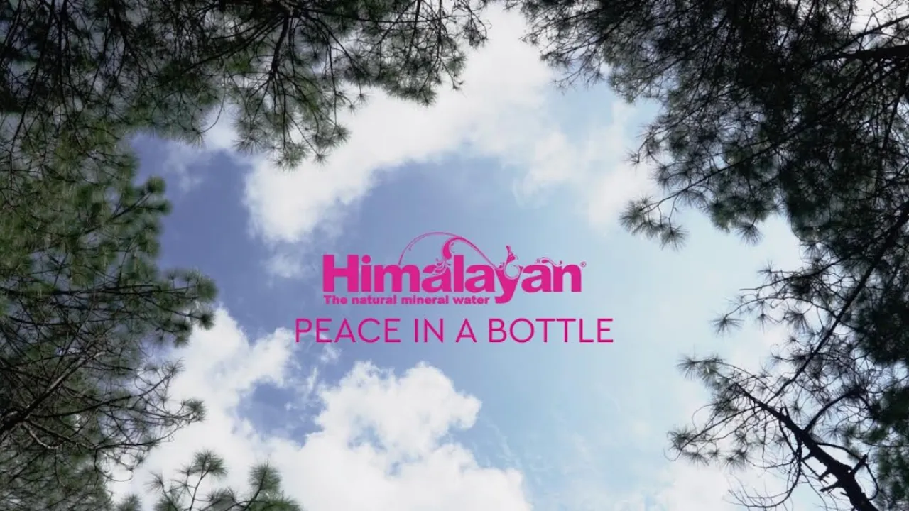 himalayan