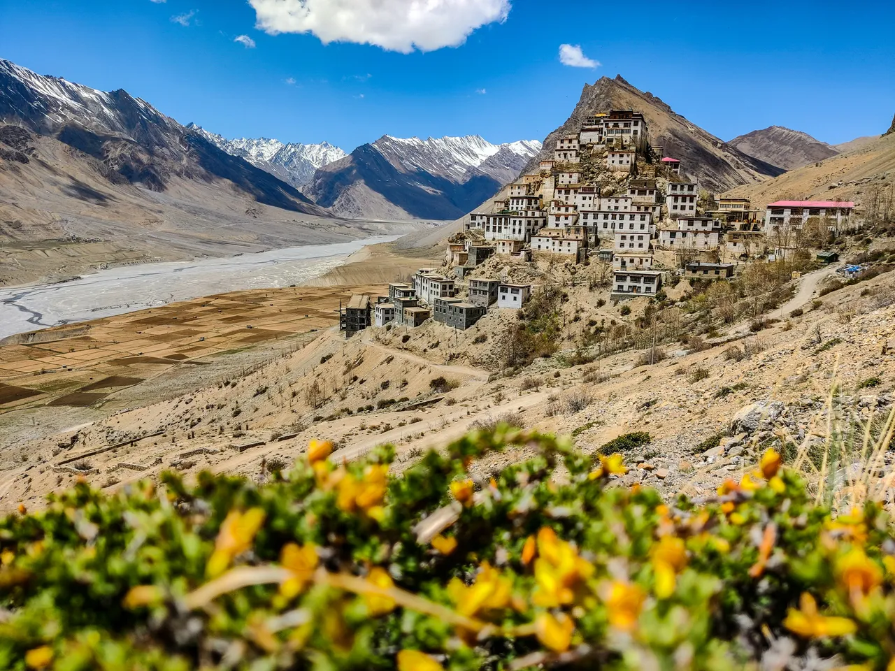 naman-sood-Ho4vGxa9feA-unsplash