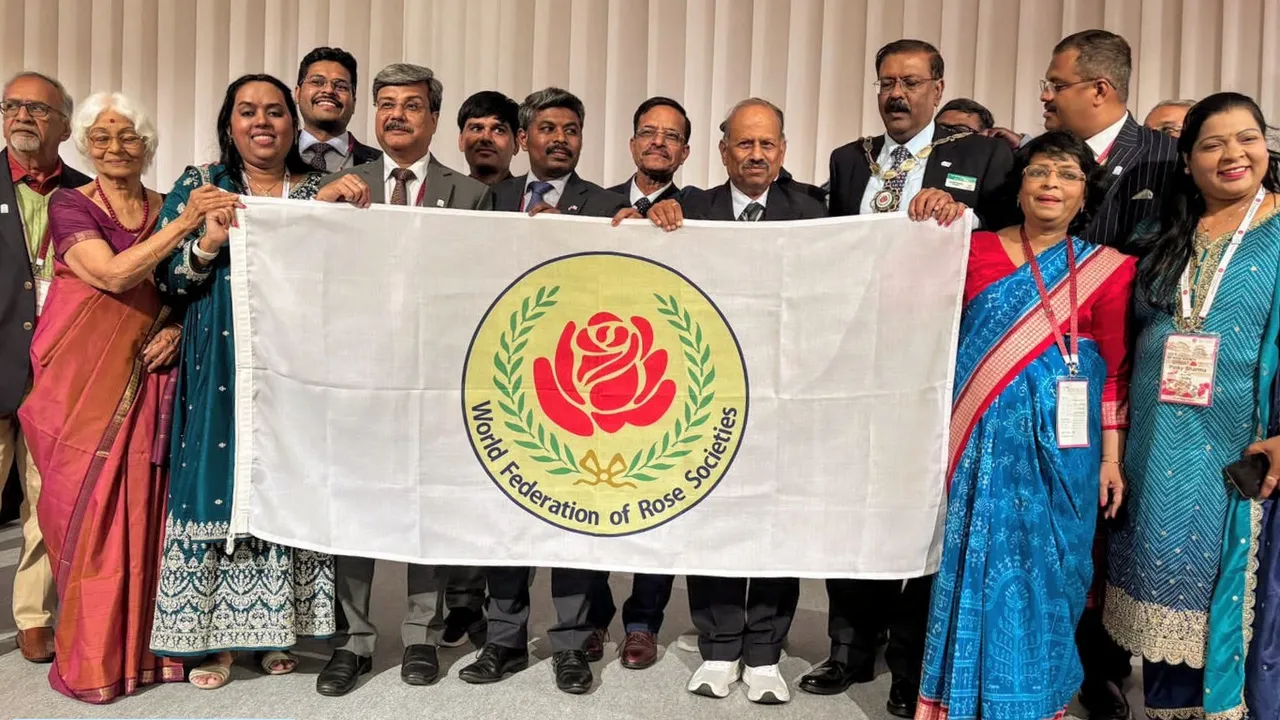 MP Rose 