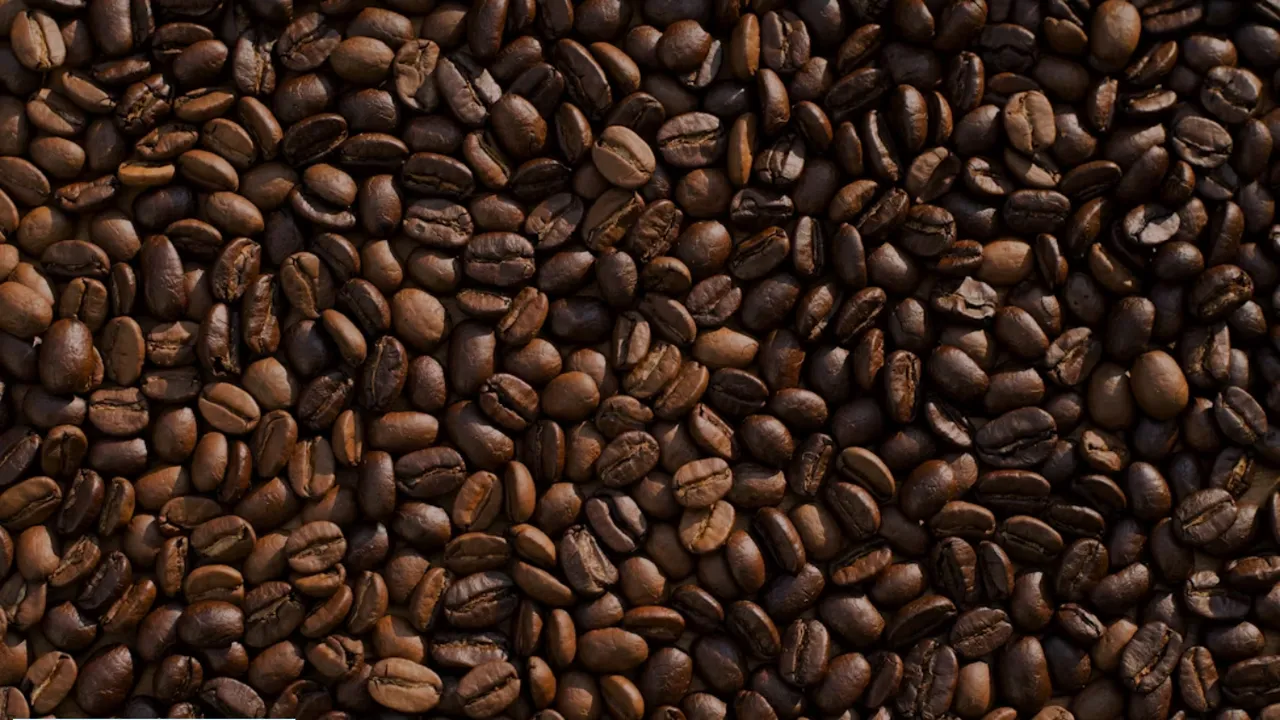 WAYAND COFFEE
