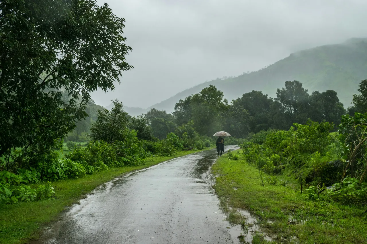 sonika-agarwal-e6_vjZ4Hm2Y-unsplash