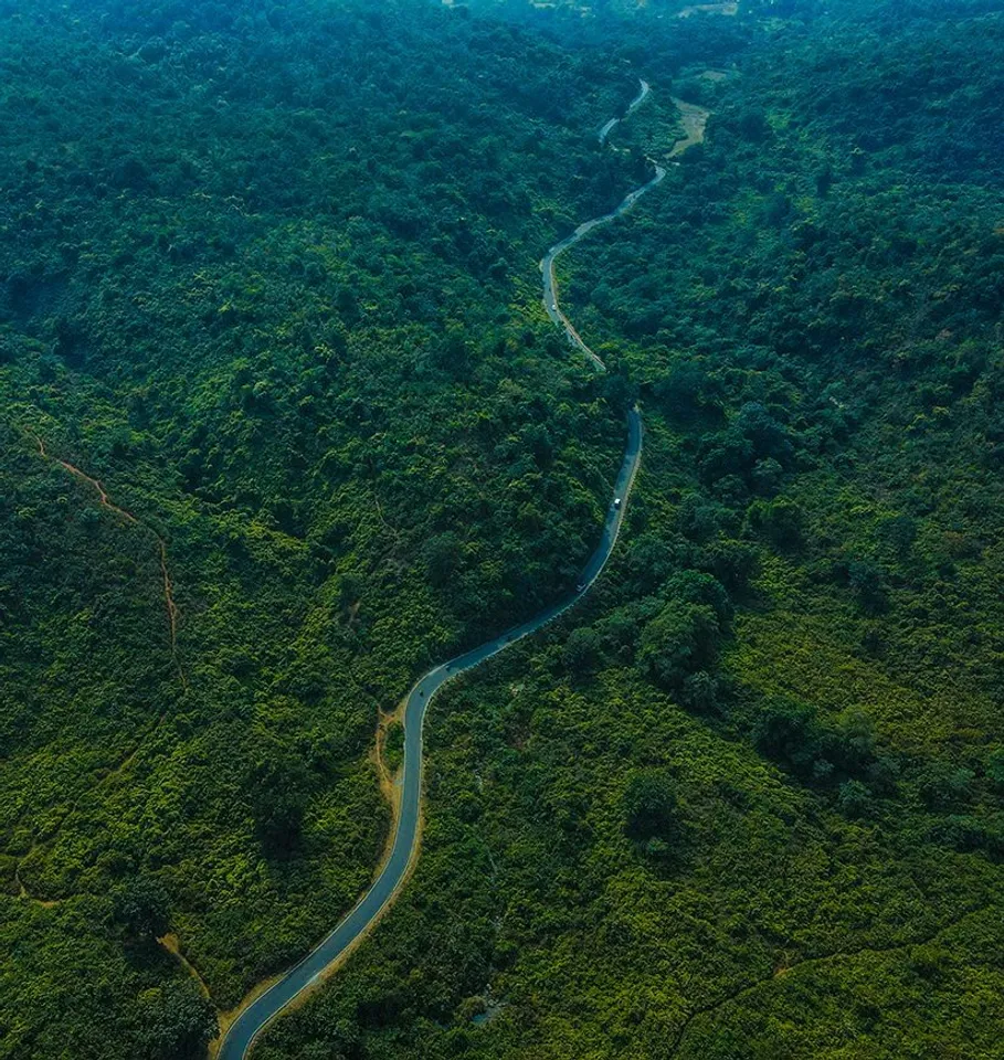 lush-greenery-dalma-hills-jamshedpur-jharkhand-city-ff