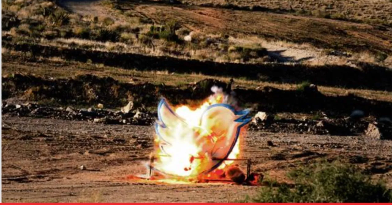 Ditchit Twiiter Bird Blast