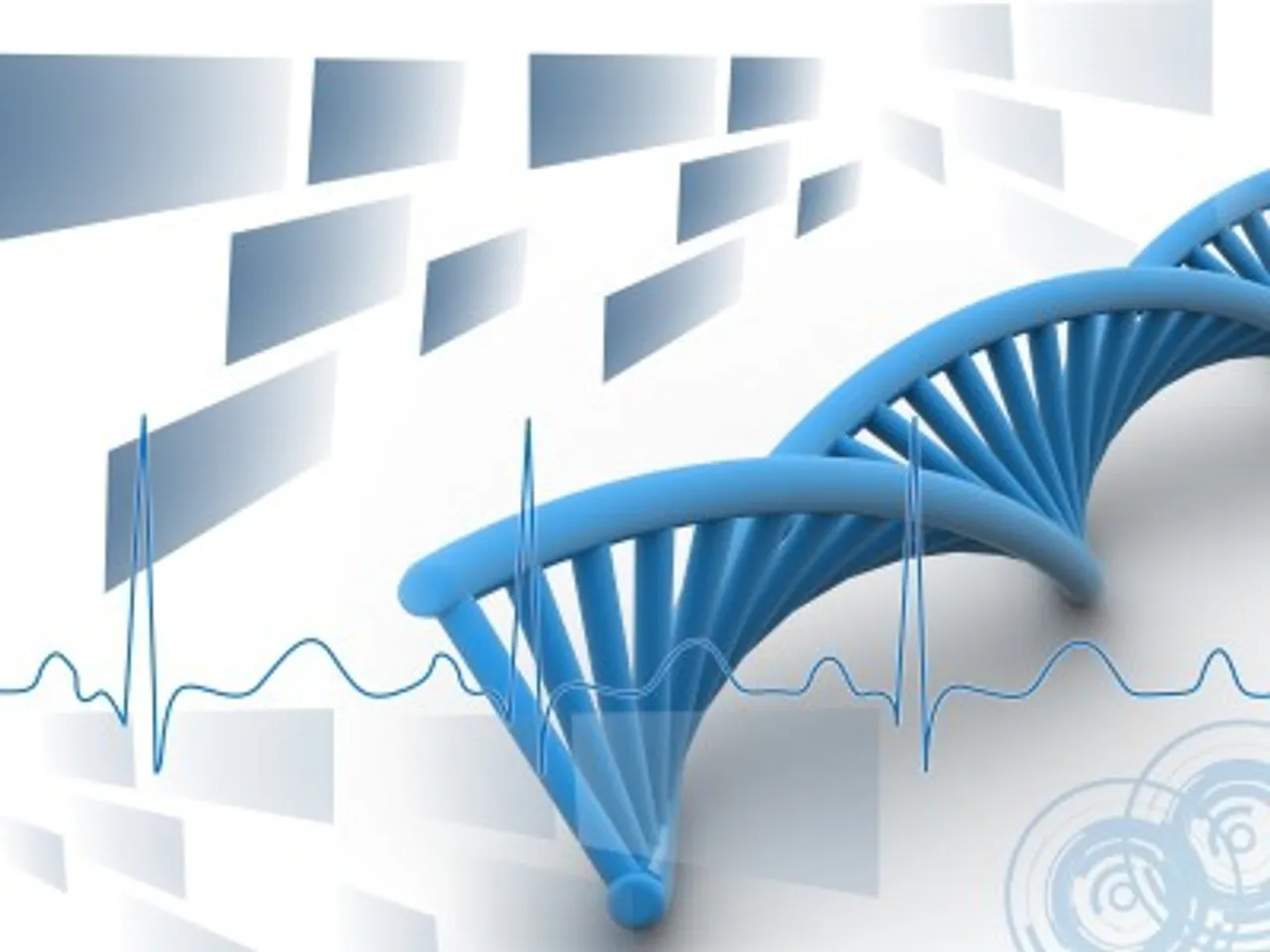 India Bio 2015