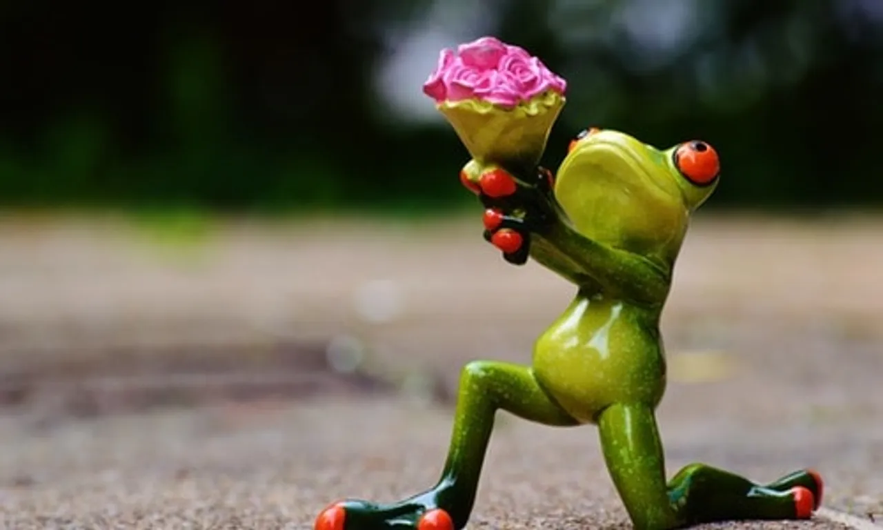 CIOL Man marries smartphone
