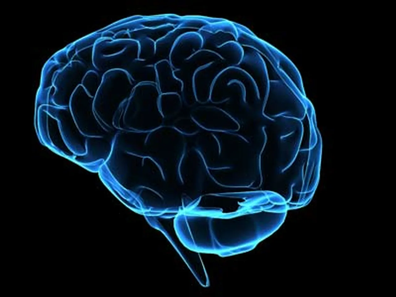 IBM AI schizophrenia