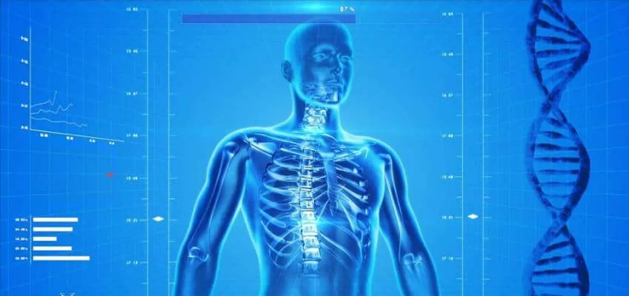 healthcare sector