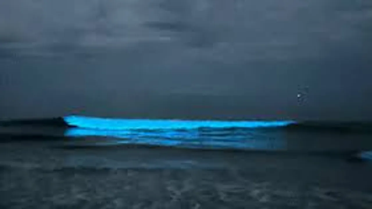 Chennai Beach Illuminated by glowing blue waves at night