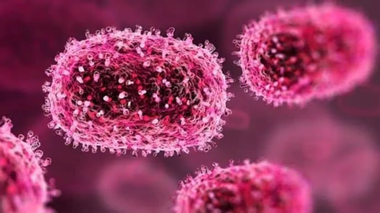 Gujarat: Viral infection cases rises in Ahmedabad