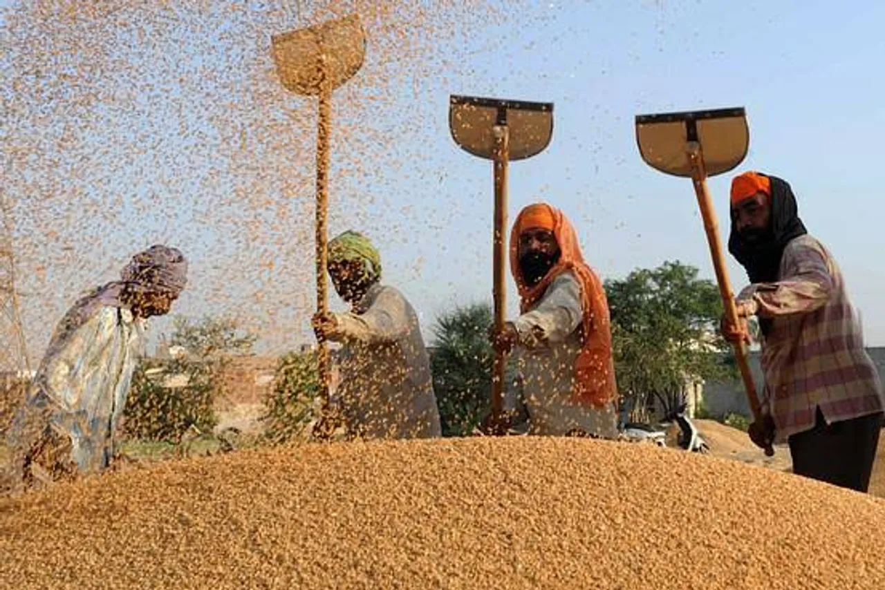 Farmers relieved as Jamnagar’s Hapa Market starts purchasing groundnuts at MSP
