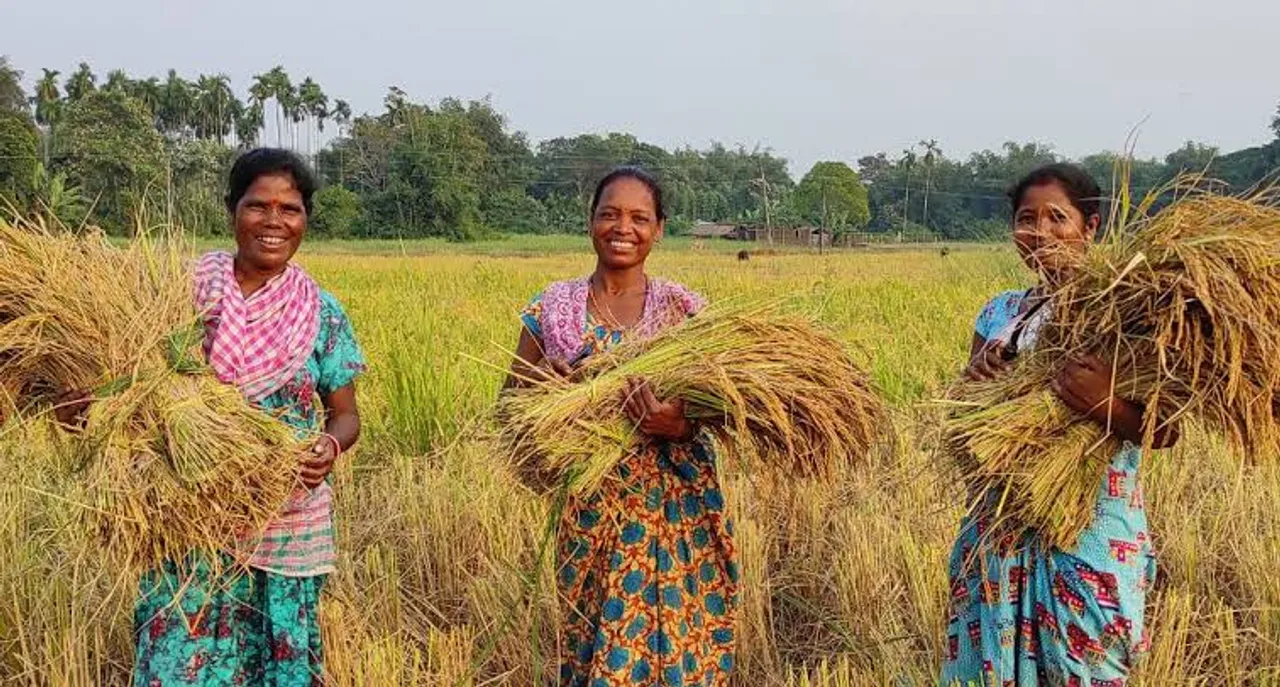 Tribal Farmer’s Success Story: Embracing natural farming in Wankla Village