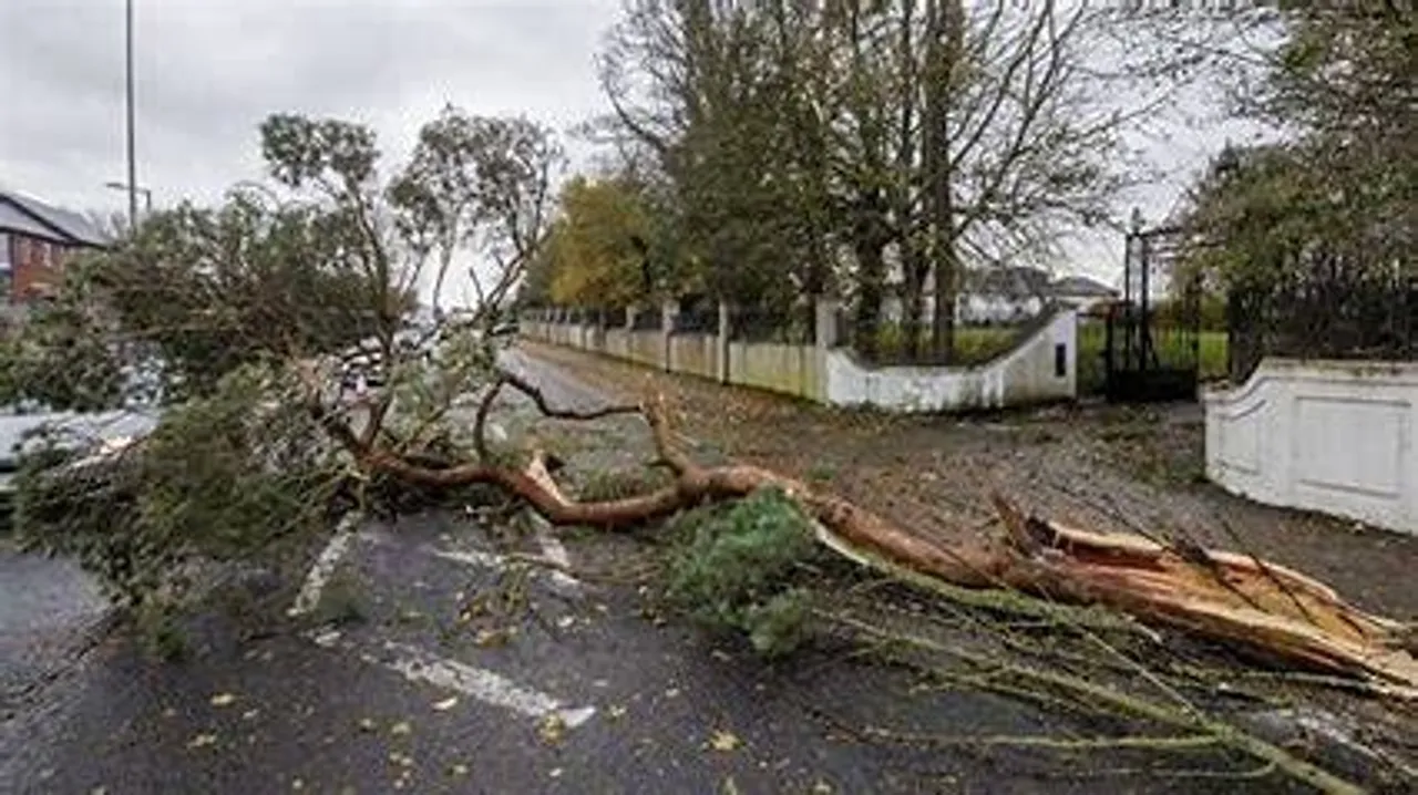 About 22,000 remain without power in Northern Ireland amid Storm Darragh