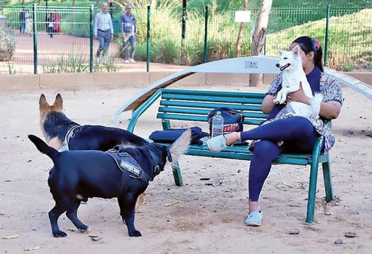 AMC hikes pet dog registration charge from ₹200 to ₹500