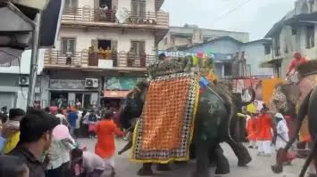 Elephants go berserk during Ahmedabad rathyatra, three people injured