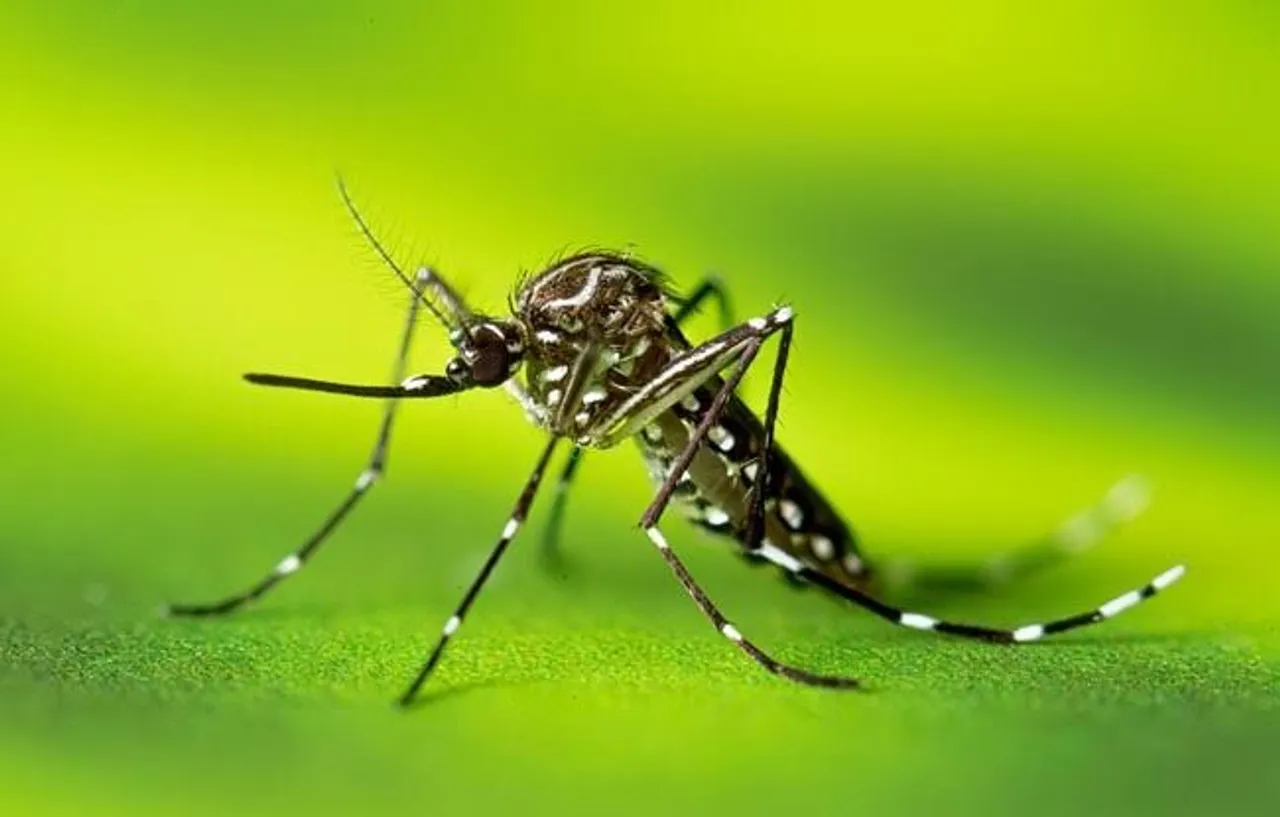 AMC collects ₹6 lakh from 276 commercial units during anti-mosquito drive