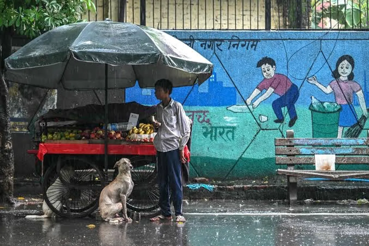 The Supreme Court today reserved Order on the pleas to stay the directions passed by a two-judge bench on the 11th of August to remove the stray dogs in Delhi National Capital Region to shelter homes.