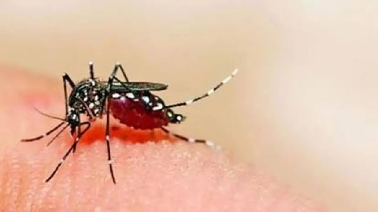 9 test positive for Zika virus in Pune district; tally stands at 48