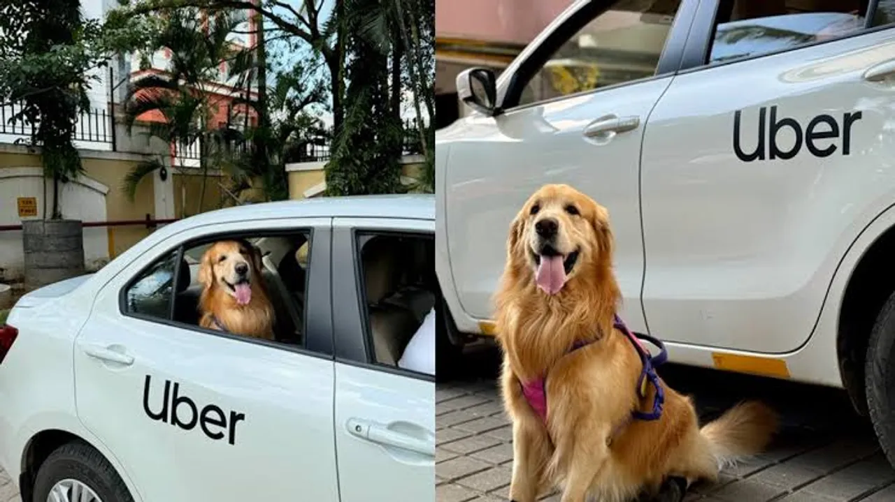 In Bengaluru, Uber starts cab services to travel with pets