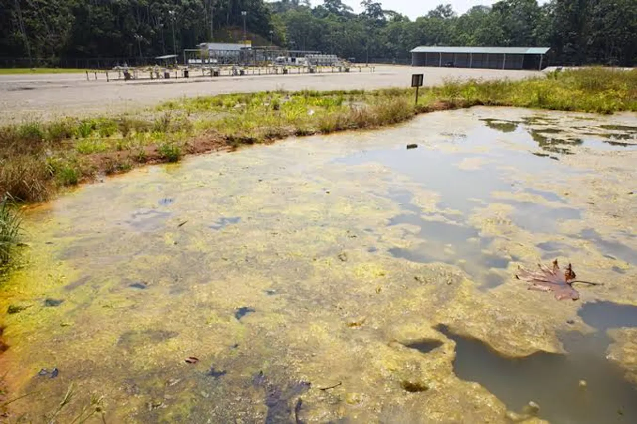 786 MLD of sewage to be treated using bioremediation method