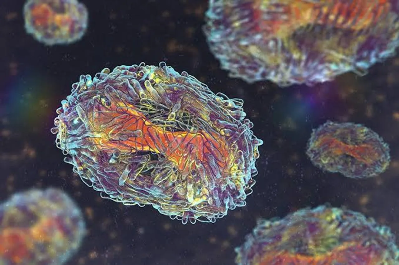 WHO updates list of Pathogens that could start another pandemic