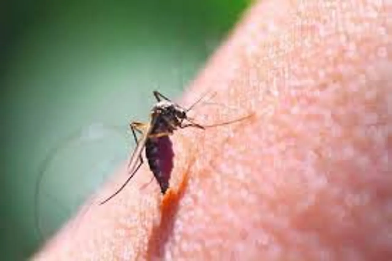 Doctors: Dengue can seriously affect the brain, nervous system