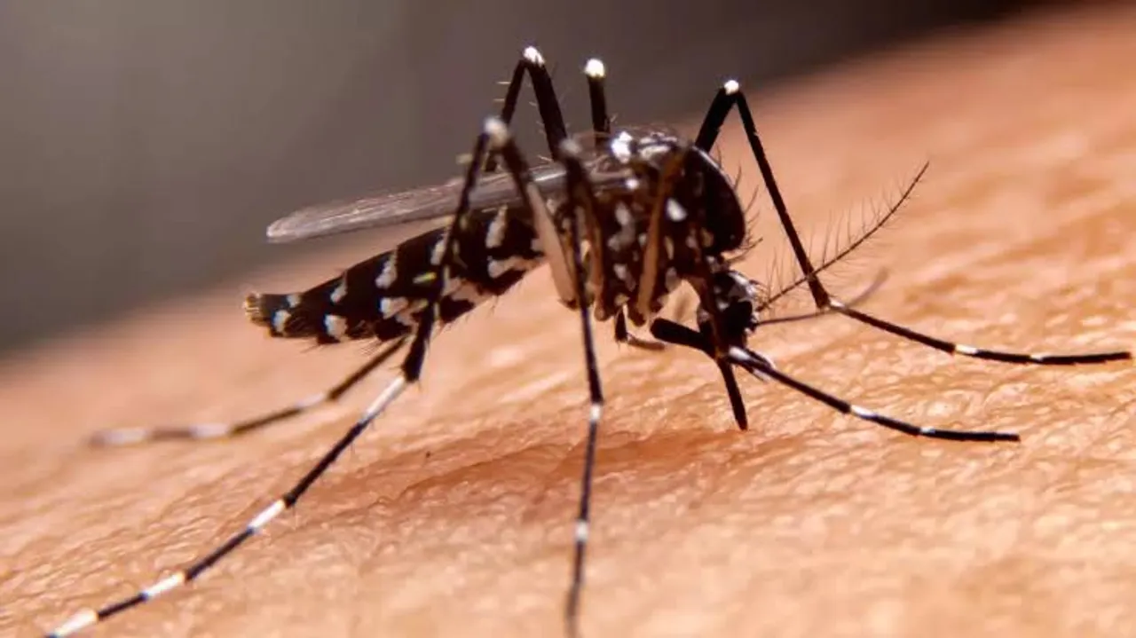 Lucknow reports 39 new dengue cases, 3 of malaria