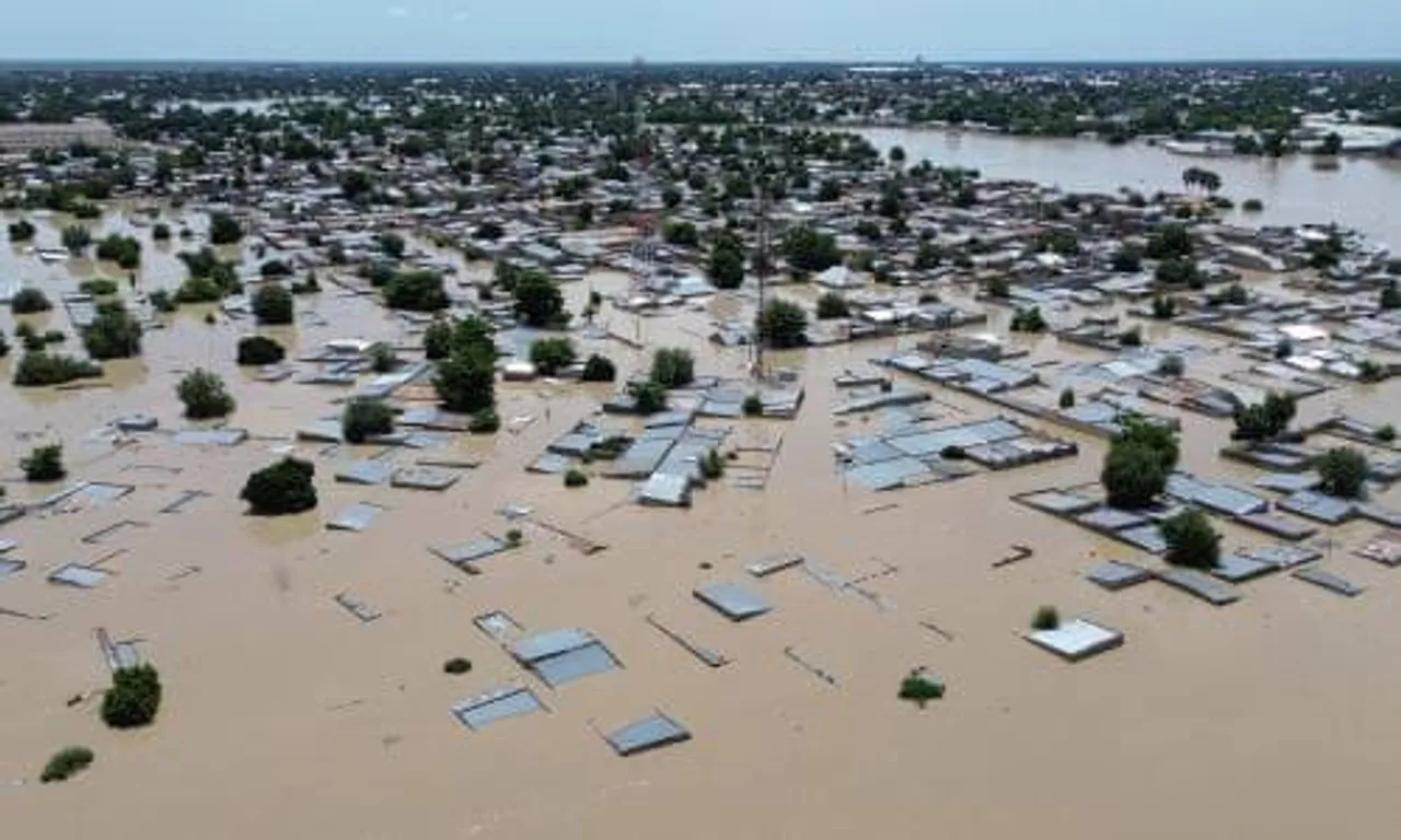 Zoo animals roam streets as floods hit north Nigeria