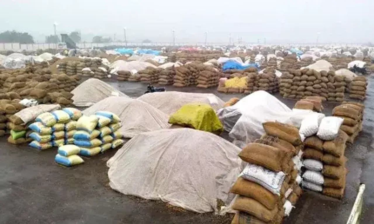 Rain in 30 talukas in Gujarat has sparked fears of crop destruction