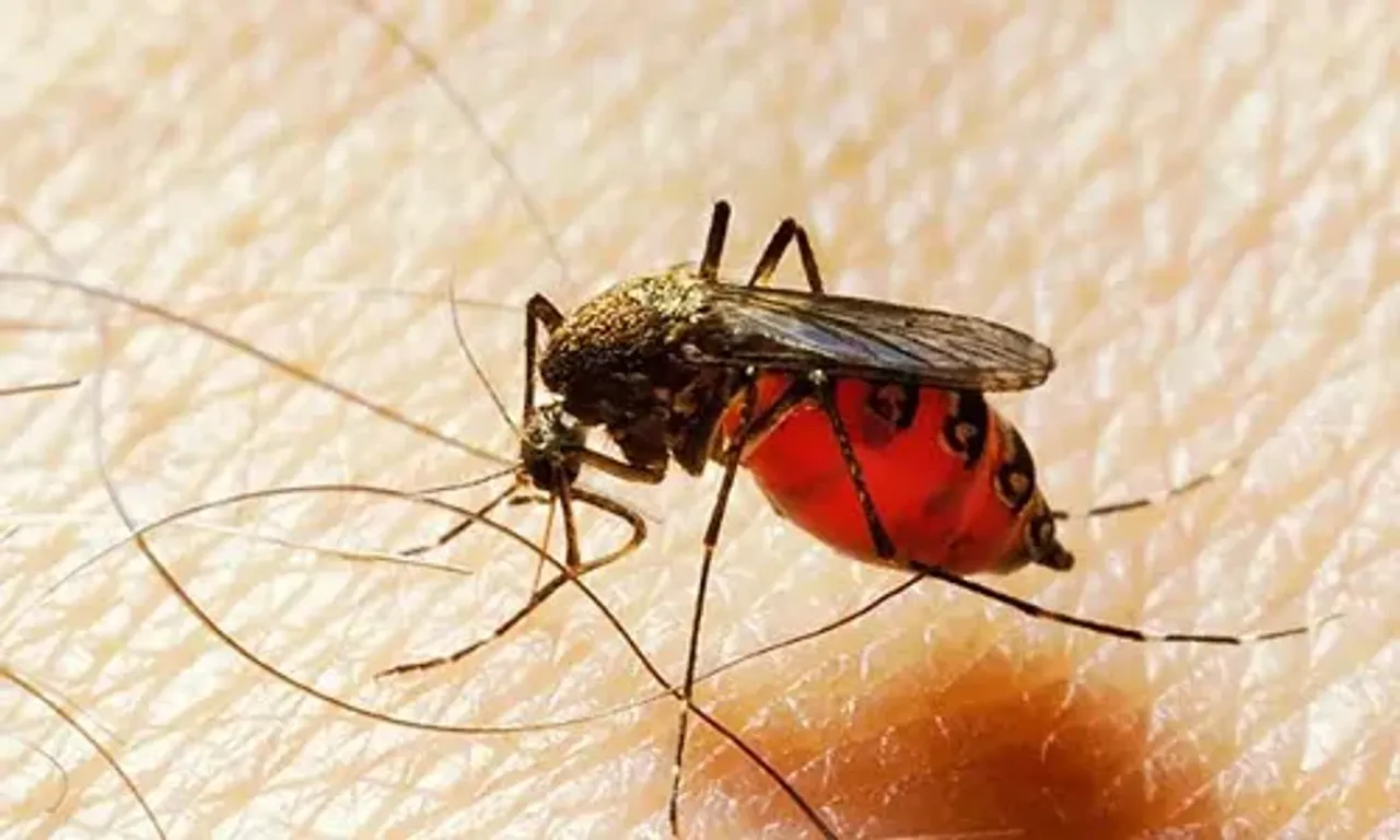 World Malaria Day: India registers over 85 per cent decline in malaria cases from 2015 to 2022