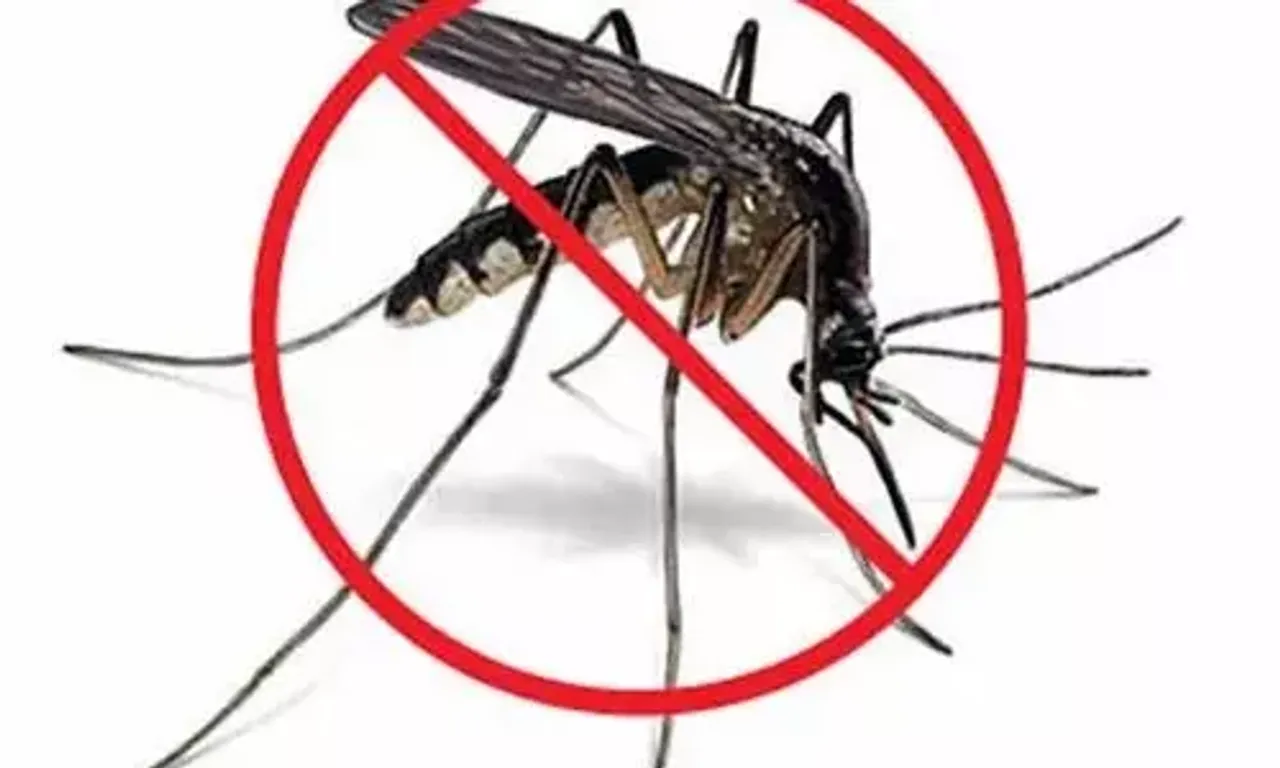 More than 3.21 lakh houses surveyed In the first round of intensive mosquito control operation in Vadodara district