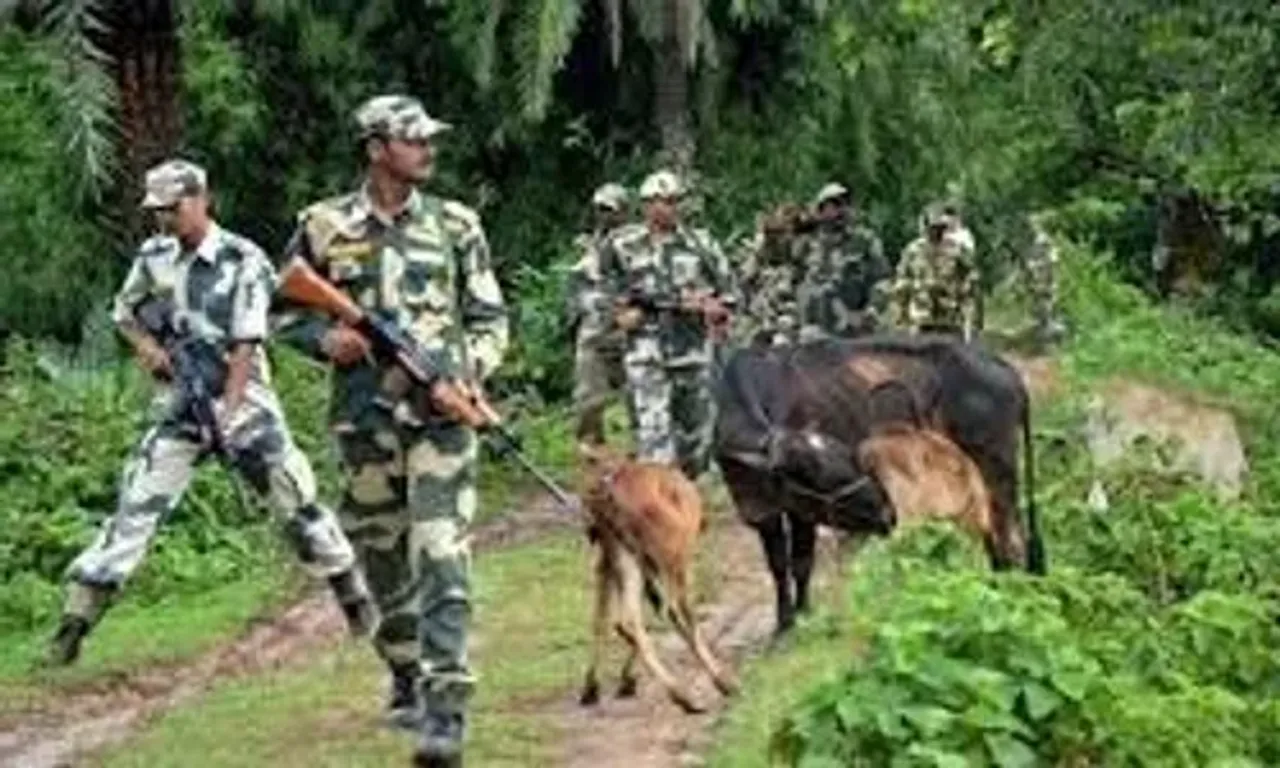 Cattle traffickers attack the BSF near the Bengal border; one is apprehended, but the rest flee