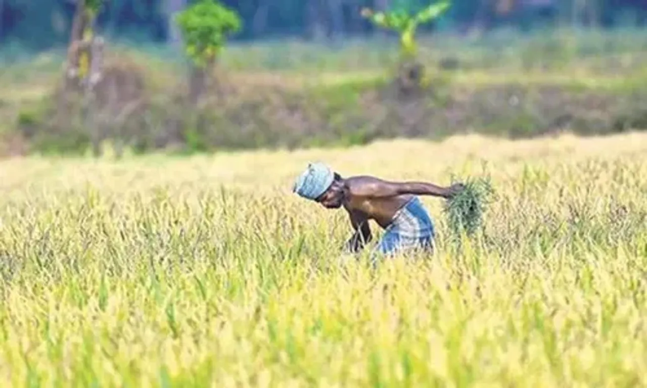 PM Modi to release next installment of financial benefit under PM-KISAN scheme today