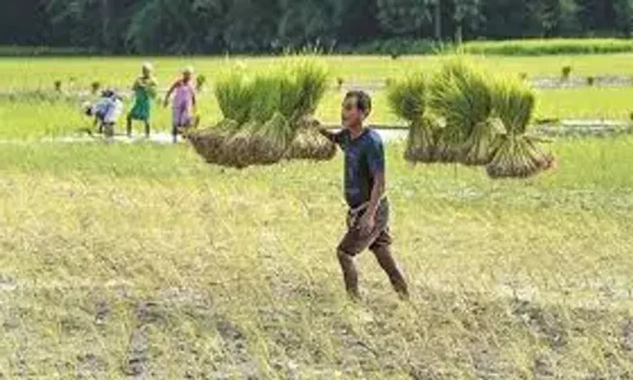 Enrolment under Pradhan Mantri Fasal Bima Yojana increases by 27 percent in current fiscal so far