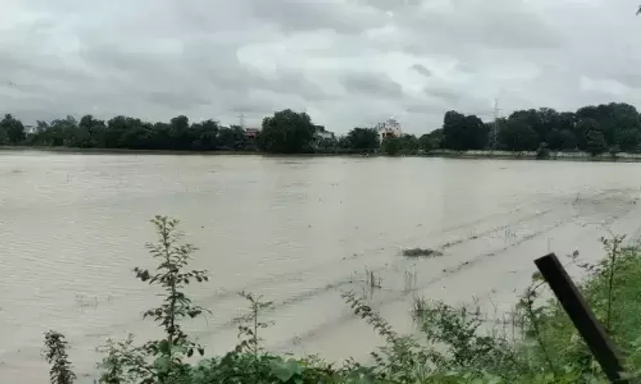 The farm of Navsari Agriculture University at Maktampur in Bharuch flooded after 5 inches of torrential rains