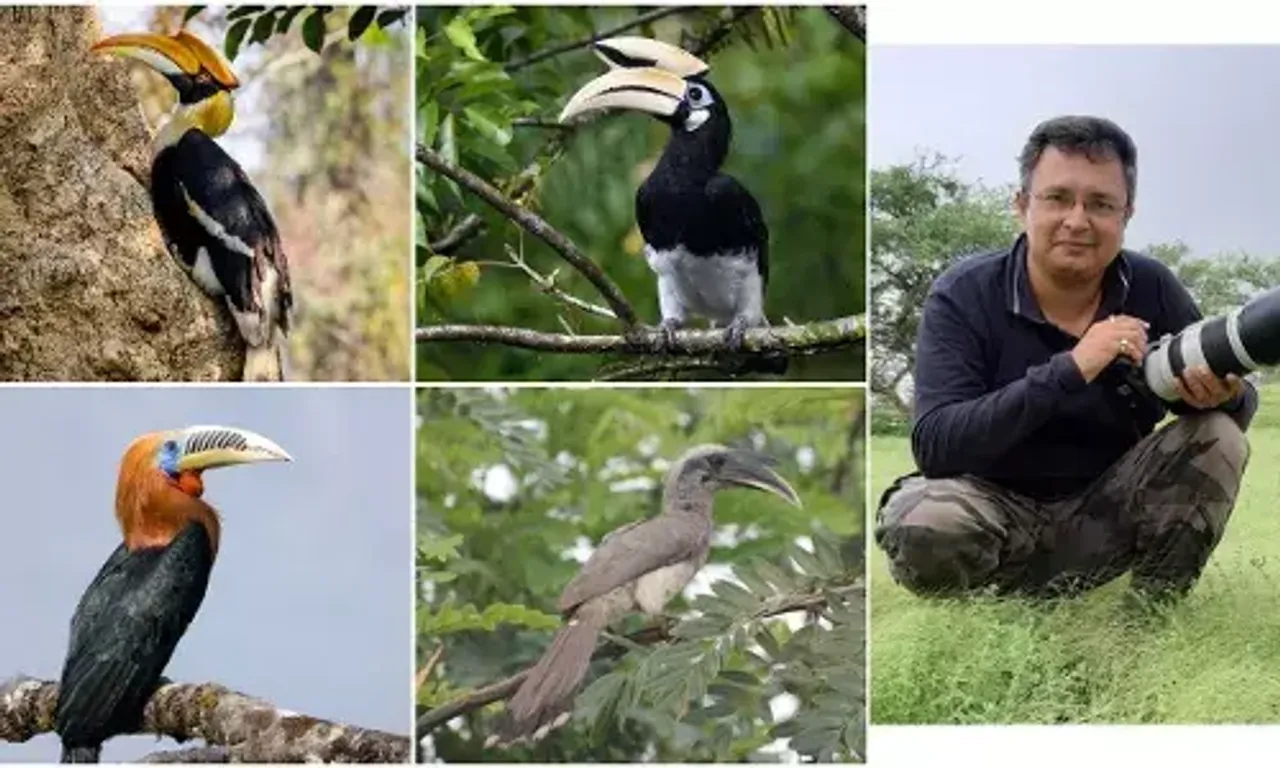Wildlife photographer from Vadodara clicked various species of Hornbill