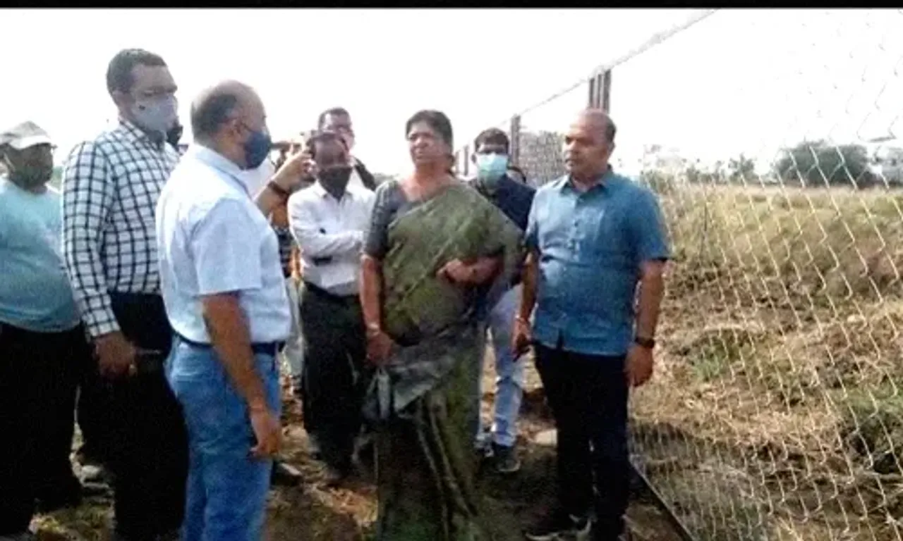 Vadodara corporation first step towards relocating cattle keepers as part of cattle free city