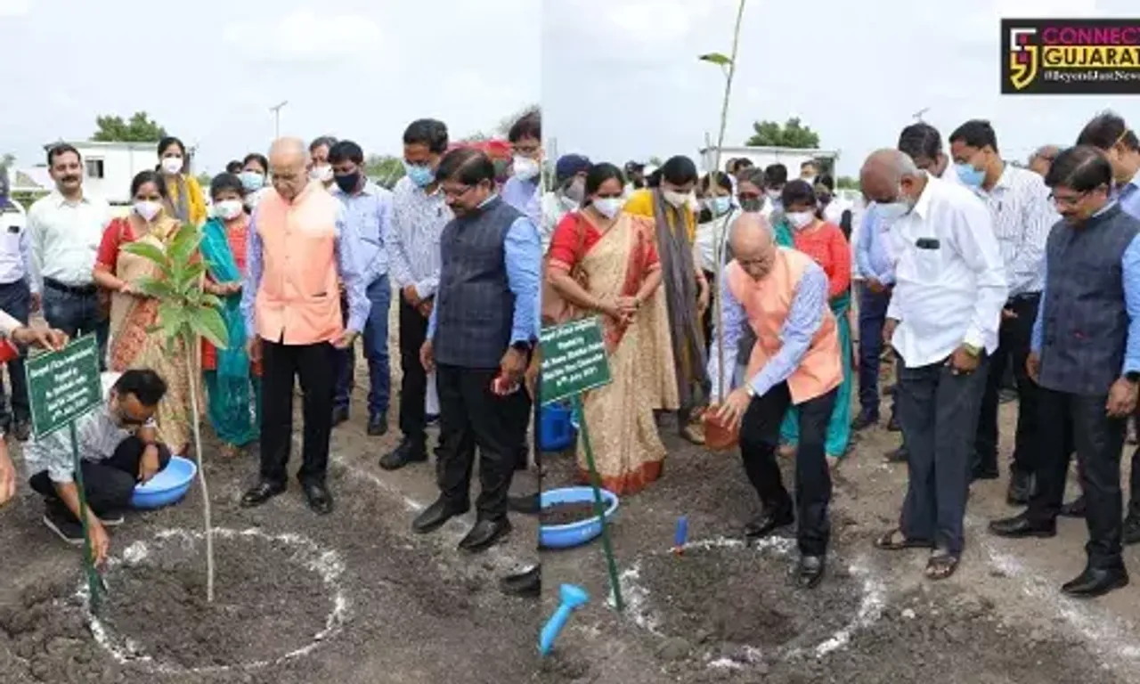 Tree Plantation program held at Gujarat Central University under construction campus at Kundhela