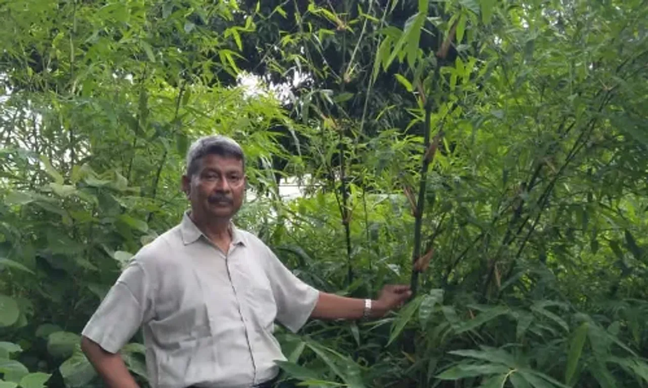 Retired Forest Officer Rajendrasinh Chauhan is involved in the establishment of the only Bambusetum in Gujarat