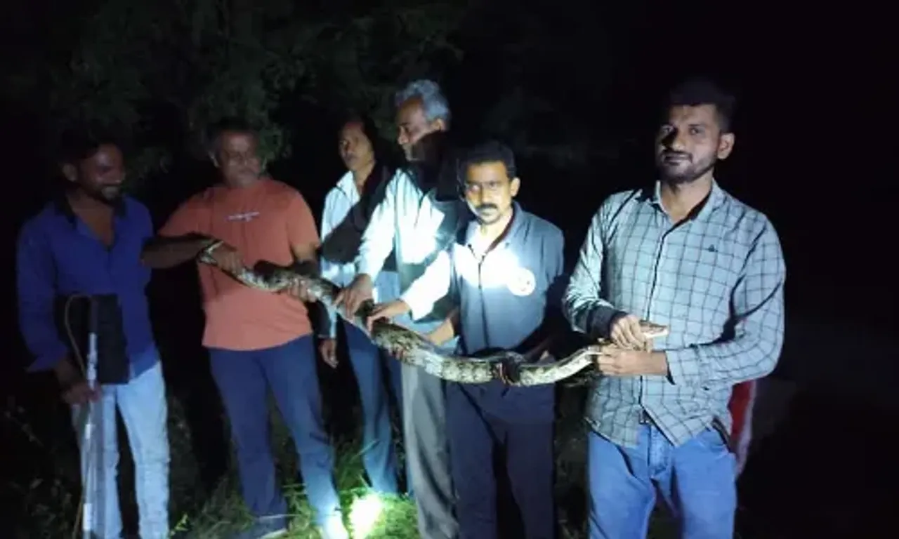 Gujarat SPCA rescued a python caught in a fishing net at Antoli village in Waghodia