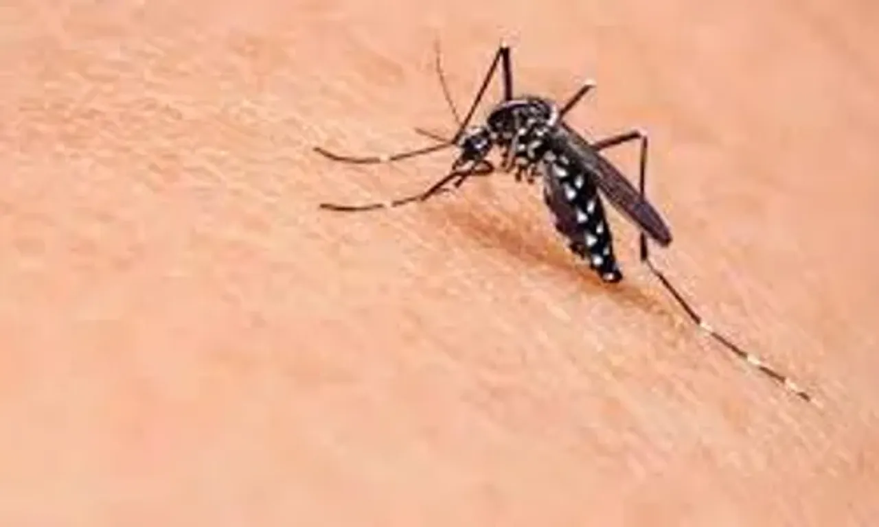 Over 21,000 cases of dengue, malaria this monsoon, Mumbai tops the chart