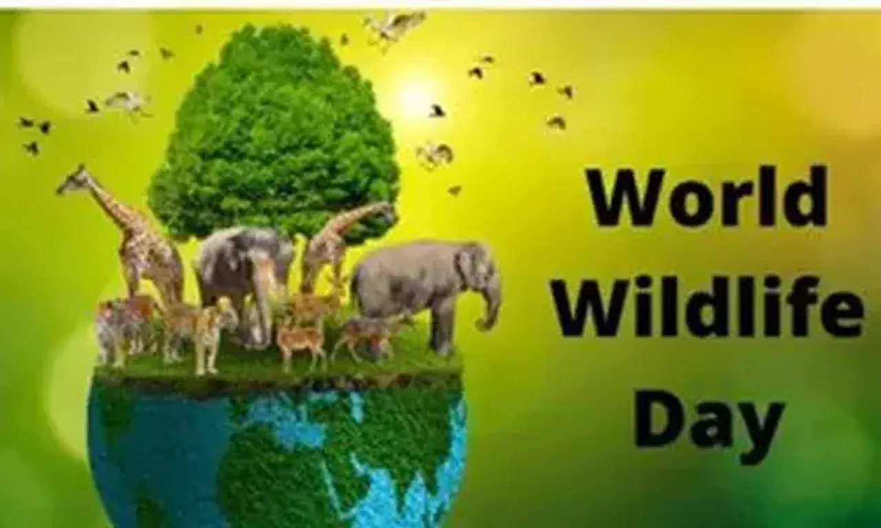 World Wildlife Day being observed today