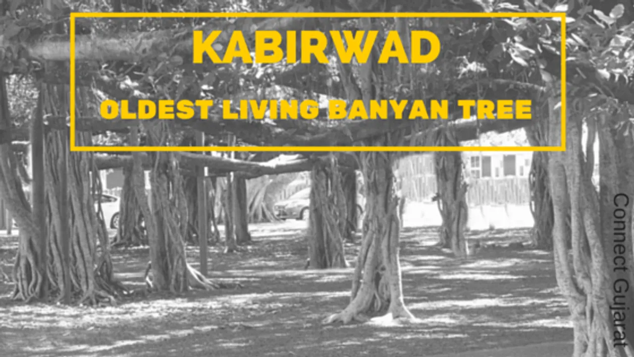 One of the oldest living Banyan tree – Kabirvad – in the midst of holy river Narmada