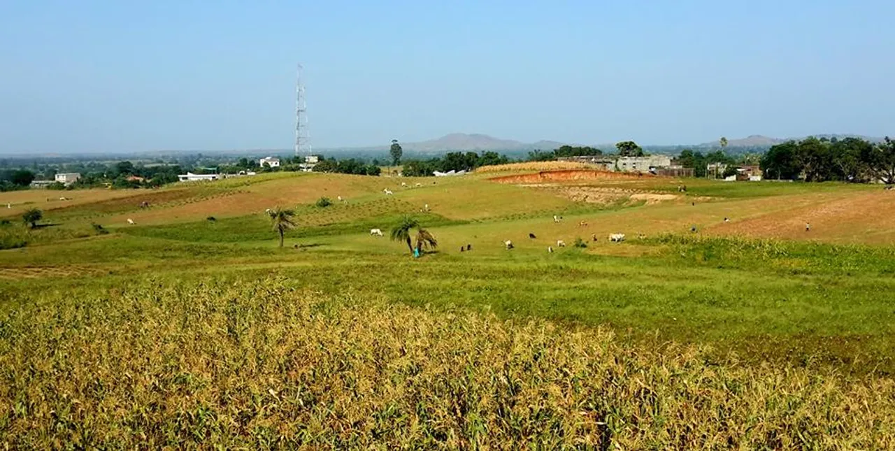 Implementation of the Agriculture Lands Ceiling Act (ALC Act) in Gujarat